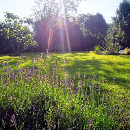 Hello Balaton Apartamento *