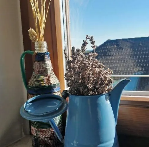 Hello Balaton * Alsóörs